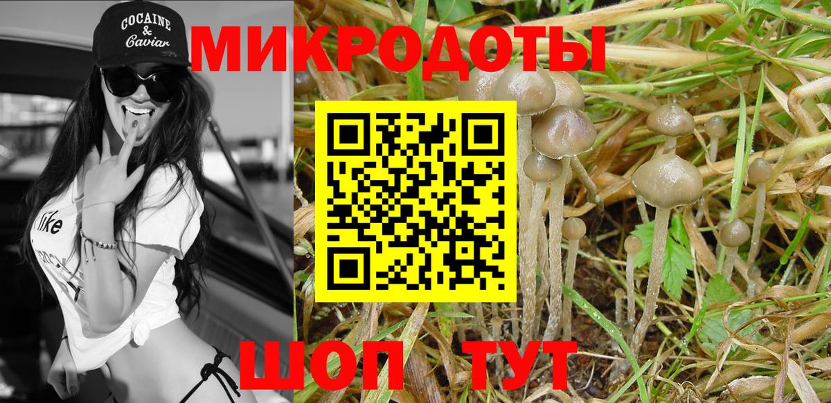Унеча  Псилоцибиновые грибы прущие грибы  Галлюциногенные грибы Magic Shrooms  Вход с VPN 