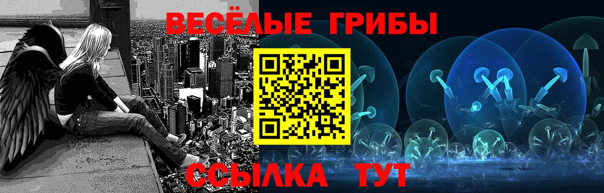 Галлюциногенные грибы Psilocybine cubensis Унеча